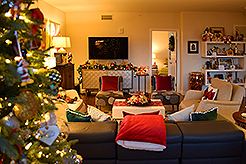 THE MARTIN FOR THE HOLIDAYS